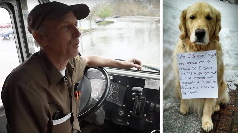 Unexpected Surprise: UPS Driver's Rescue Mission Turns Into ...