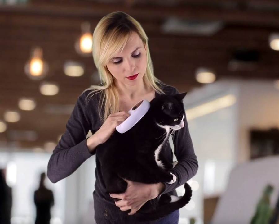 Microchips Can’t Track Cats